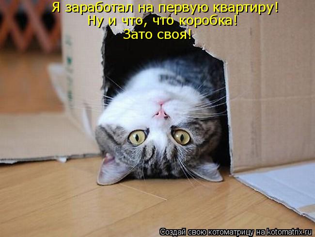 Котоматрица: Я заработал на первую квартиру! Ну и что, что коробка! Зато своя!