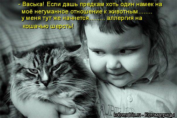 кошачью шерсть! - Васька! Если дашь предкам хоть один намек на моё негуманное отношение к животным...... Котоматрица: кошачью шерсть! - Васька! Если дашь предкам хоть один намек на моё негуманное отношение к животным........ у меня тут же начнется......... аллергия