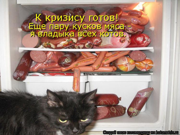 Котоматрица: К кризису готов! Еще пару кусков мяса - я владыка всех котов.