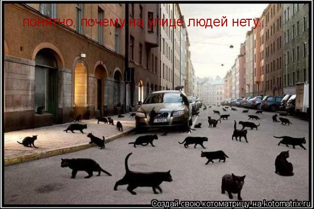 Котоматрица: понятно, почему на улице людей нету...