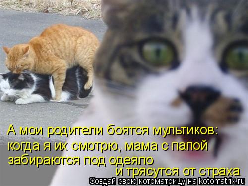 Котоматрица: А мои родители боятся мультиков: когда я их смотрю, мама с папой  забираются под одеяло  и трясутся от страха