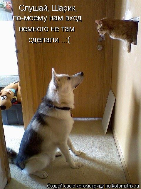 Котоматрица: Слушай, Шарик, по-моему нам вход  немного не там сделали...:(