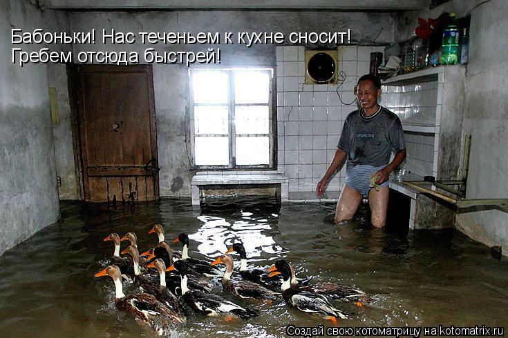 Котоматрица: Бабоньки! Нас теченьем к кухне сносит! Гребем отсюда быстрей!