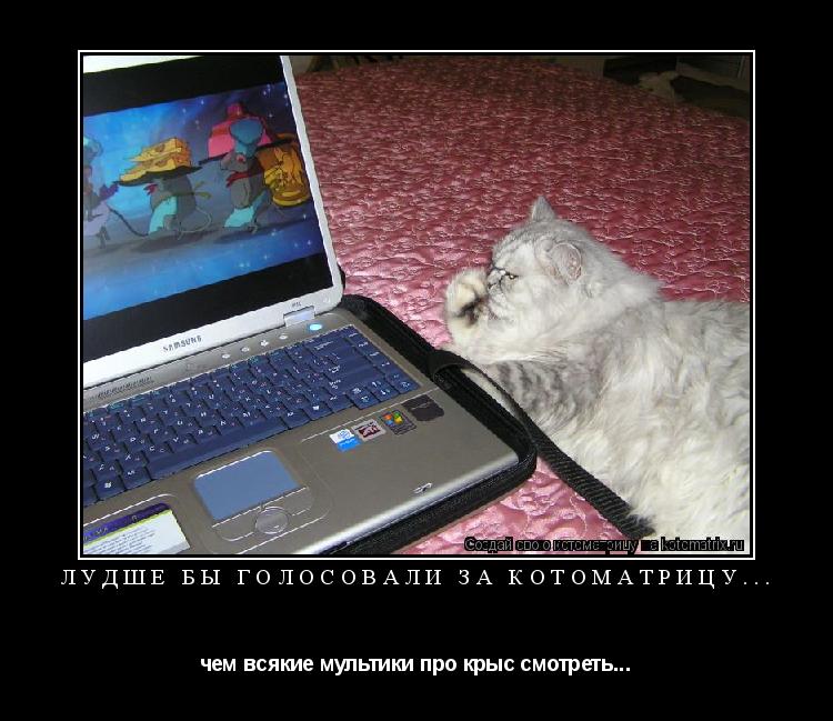 Котоматрица: Лудше бы голосовали за котоматрицу...  чем всякие мультики про крыс смотреть...