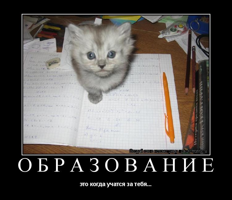 Котоматрица: Образование это когда учатся за тебя...