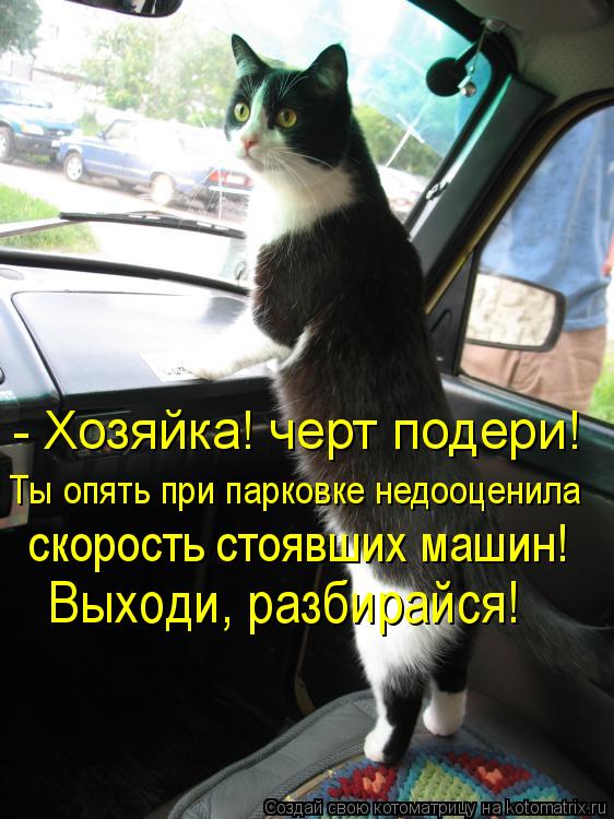 Котоматрица: Выходи, разбирайся!  скорость стоявших машин!  Ты опять при парковке недооценила - Хозяйка! черт подери!