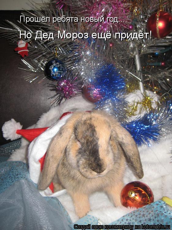 Прошёл ребята новый год... Но Дед Мороз ещё придёт!... Котоматрица: Прошёл ребята новый год... Но Дед Мороз ещё придёт!