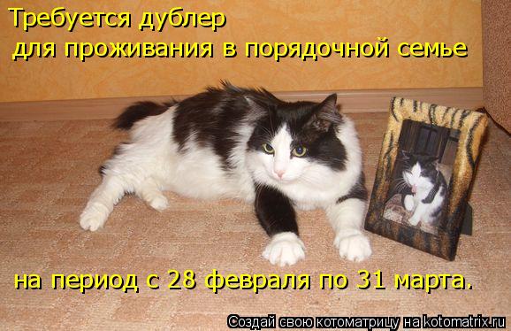 Котоматрица: Требуется дублер для проживания в порядочной семье  на период с 28 февраля по 31 марта.