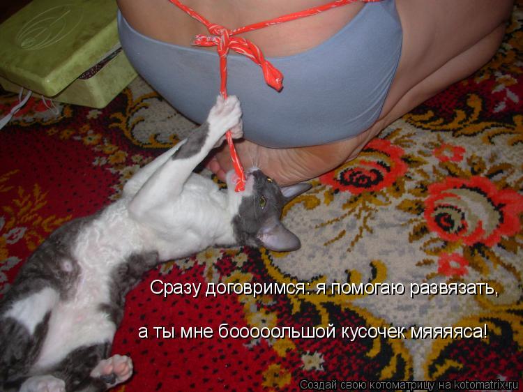 Котоматрица: Сразу договримся: я помогаю развязать, а ты мне бооооольшой кусочек мяяяяса!