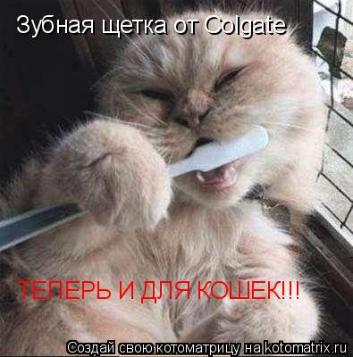 Котоматрица: Зубная щетка от Colgate ТЕПЕРЬ И ДЛЯ КОШЕК!!!