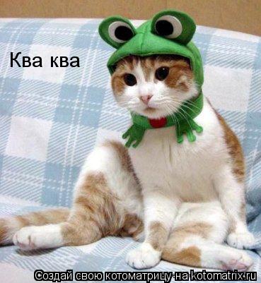 Ква ква... Котоматрица: Ква ква