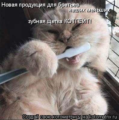 Новая продукция для братьев наших меньших зубная щетка КОТГЕЙТ!... Котоматрица: Новая продукция для братьев наших меньших зубная щетка КОТГЕЙТ!
