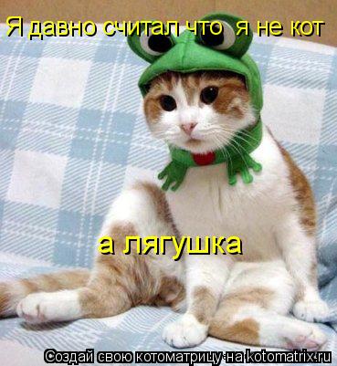 Котоматрица: Я давно считал что  я не кот а лягушка