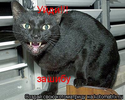 Котоматрица: Уйди!!! зашибу