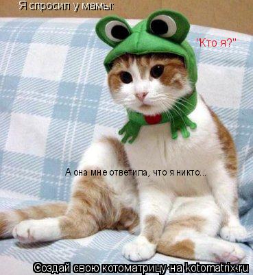 Котоматрица: Я спросил у мамы: "Кто я?" А она мне ответила, что я никто...
