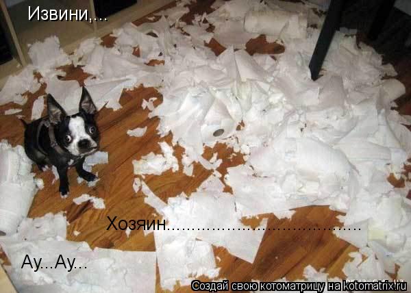 Котоматрица: Извини,... Хозяин....................................... Ау...Ау...