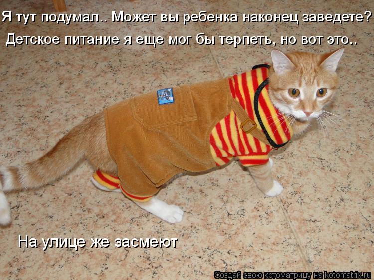 Котоматрица: Я тут подумал.. Может вы ребенка наконец заведете?  Детское питание я еще мог бы терпеть, но вот это.. На улице же засмеют