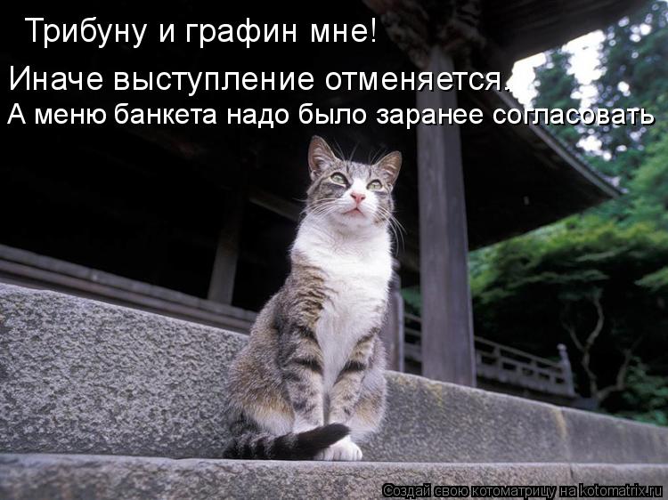 Котоматрица: Трибуну и графин мне! Иначе выступление отменяется.  А меню банкета надо было заранее согласовать