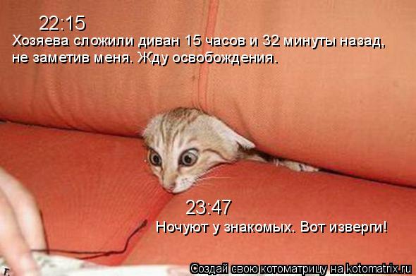 Котоматрица: 22:15 Хозяева сложили диван 15 часов и 32 минуты назад,  не заметив меня. Жду освобождения. 23:47 Ночуют у знакомых. Вот изверги!