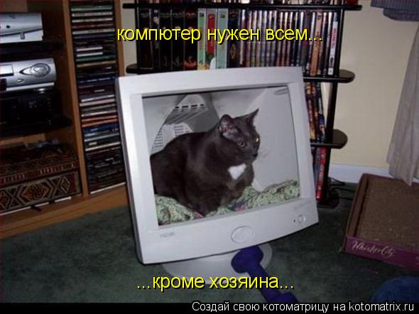 Котоматрица: компютер нужен всем... ...кроме хозяина...