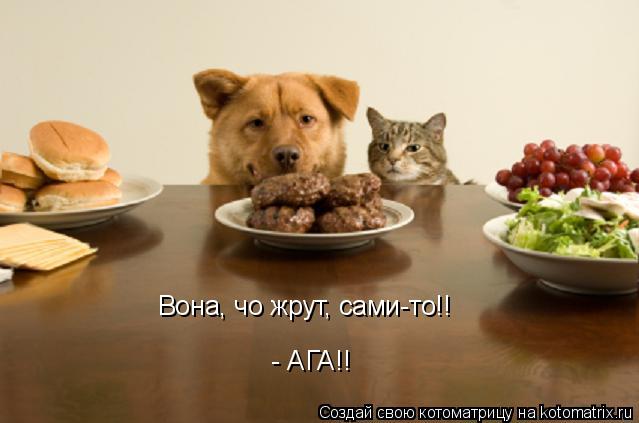 Вона, чо жрут, сами-то!! - АГА!!... Котоматрица: Вона, чо жрут, сами-то!! - АГА!!