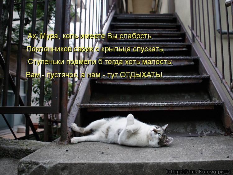 Котоматрица: Ах, Мура, коль имеете Вы слабость Поклонников своих с крыльца спускать, Ступеньки подмели б тогда хоть малость: Вам - пустячок, а нам - тут ОТД