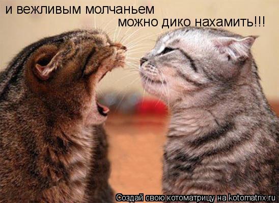 и вежливым молчаньем можно дико нахамить!!!... Котоматрица: и вежливым молчаньем можно дико нахамить!!!