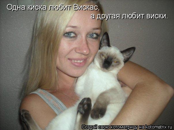 Котоматрица: Одна киска любит Вискас, а другая любит виски.