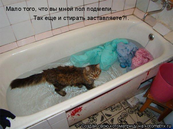 Котоматрица: Мало того, что вы мной пол подмели... Так еще и стирать заставляете?!.