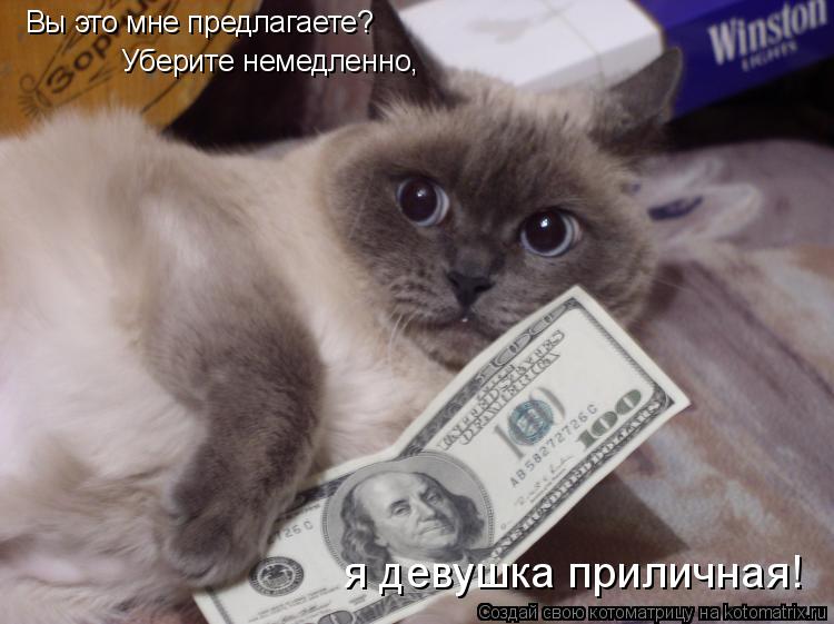 Котоматрица: Вы это мне предлагаете? Уберите немедленно,  я девушка приличная!