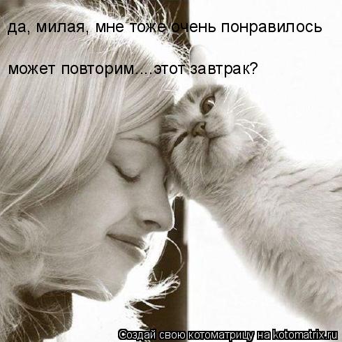 Котоматрица: да, милая, мне тоже очень понравилось может повторим....этот завтрак?
