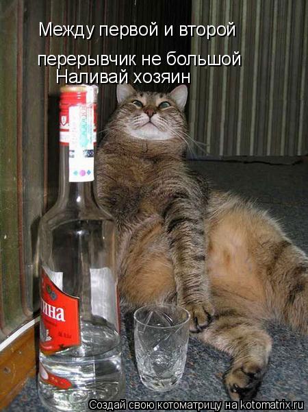 Котоматрица: Между первой и второй  перерывчик не большой Наливай хозяин