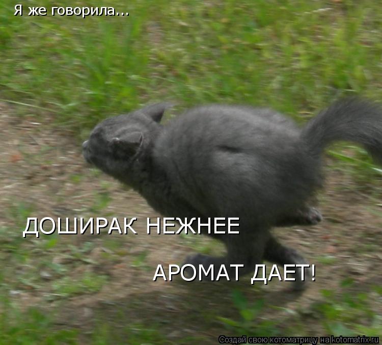 Котоматрица: Я же говорила... ДОШИРАК НЕЖНЕЕ АРОМАТ ДАЕТ!