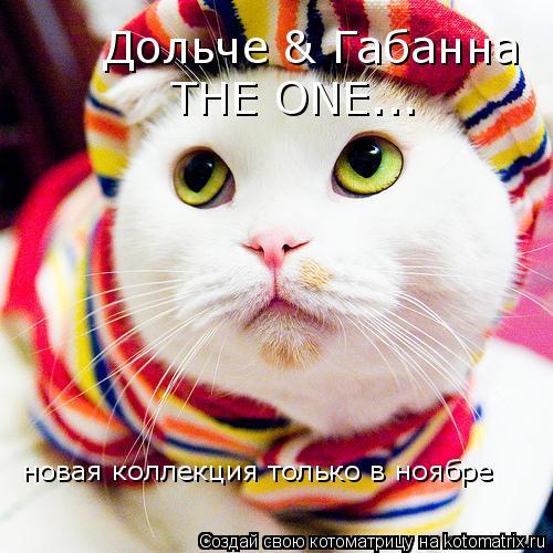 Котоматрица: Дольче & Габанна THE ONE... новая коллекция только в ноябре