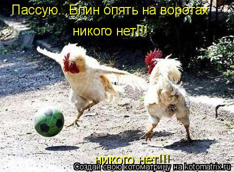 Котоматрица: Пассую...Блин опять на воротах  никого нет!!! никого нет!!!