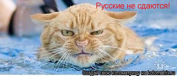 Русские не сдаются!... Котоматрица: Русские не сдаются!