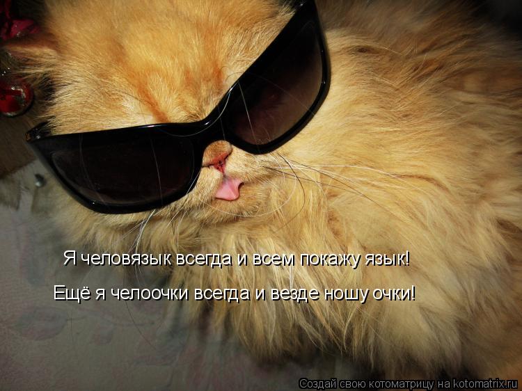 Я человязык всегда и всем покажу язык! Ещё я челоочки всегда и везде ношу очки!... Котоматрица: Я человязык всегда и всем покажу язык! Ещё я челоочки всегда и везде ношу очки!