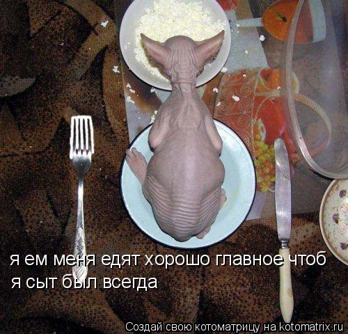 я ем меня едят хорошо главное чтоб я сыт был всегда... Котоматрица: я ем меня едят хорошо главное чтоб я сыт был всегда