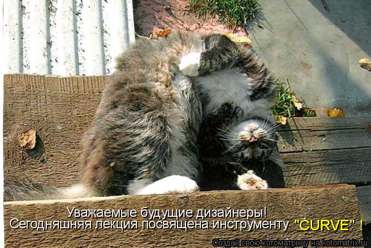 Уважаемые будущие дизайнеры! Сегодняшняя лекция посвящена инструменту "CURVE" !... Котоматрица: Уважаемые будущие дизайнеры! Сегодняшняя лекция посвящена инструменту "CURVE" !