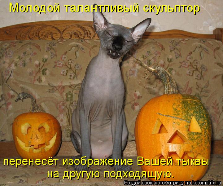перенесёт изображение Вашей тыквы на другую подходящую. Молодой талантливый скульптор... Котоматрица: перенесёт изображение Вашей тыквы на другую подходящую. Молодой талантливый скульптор
