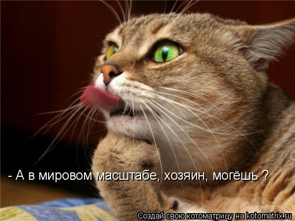 - А в мировом масштабе, хозяин, могёшь ?... Котоматрица: - А в мировом масштабе, хозяин, могёшь ?