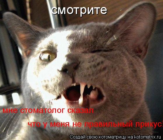 смотрите мне стоматолог сказал что у меня не правильный прикус!... Котоматрица: смотрите мне стоматолог сказал что у меня не правильный прикус!