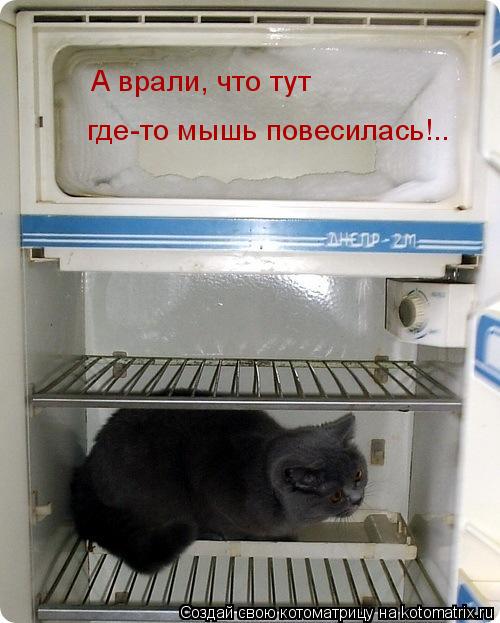 А врали, что тут где-то мышь повесилась!..... Котоматрица: А врали, что тут где-то мышь повесилась!..