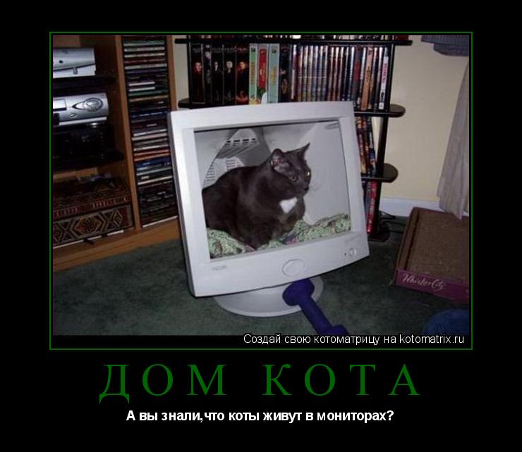 Котоматрица: Дом кота А вы знали,что коты живут в мониторах?