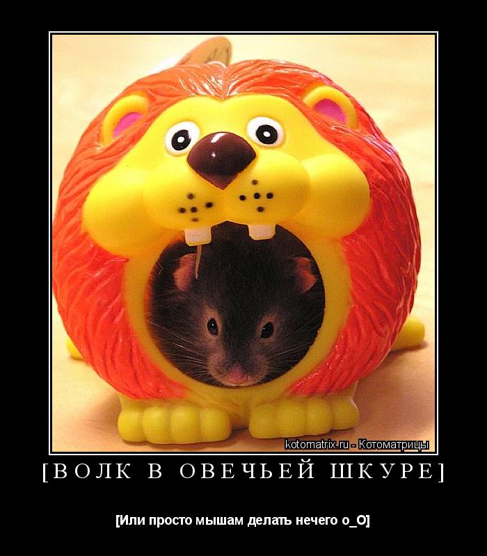 Котоматрица: [Волк в овечьей шкурЕ] [Или просто мышам делать нечего о_О]