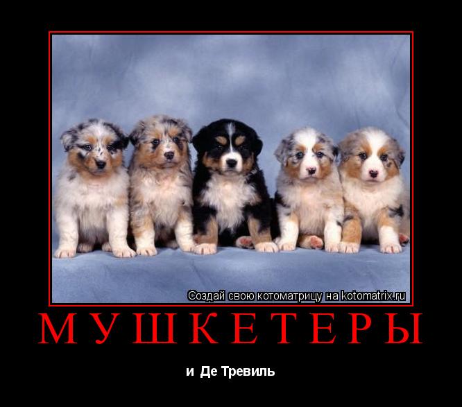 мушкетёры и Де Тревиль... Котоматрица: мушкетёры и Де Тревиль