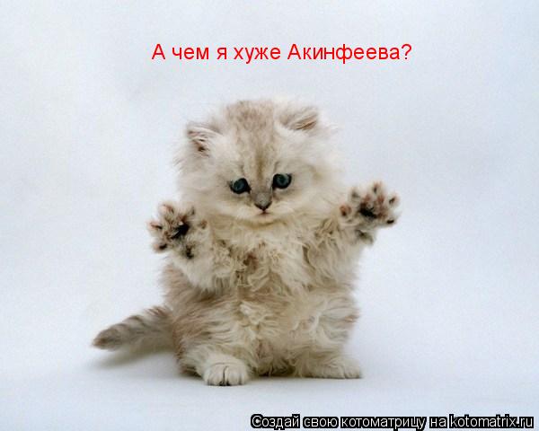 А чем я хуже Акинфеева?... Котоматрица: А чем я хуже Акинфеева?