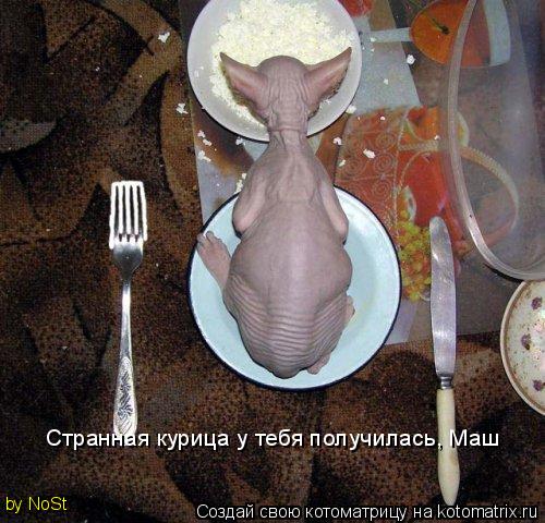 Странная курица у тебя получилась, Маш by NoSt... Котоматрица: Странная курица у тебя получилась, Маш by NoSt
