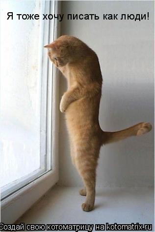 Котоматрица: Я тоже хочу писать как люди!