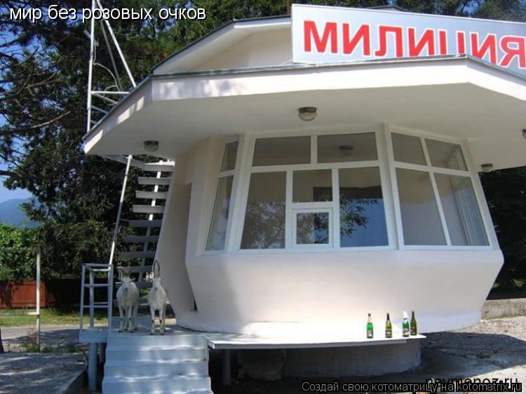 Котоматрица: мир без розовых очков